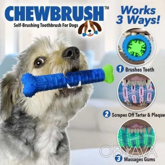  Chewbrush виглядає як іграшкова кістка. Просто дайте вашої собаці пограти з ігр. . фото 1