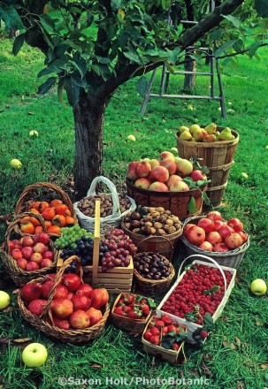 Предлагаем натуральное органическое удобрение для Вашего сада или огорода. Перег. . фото 3