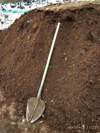 Если вы считаете, что почва в месте посадки растения бедная, и в ней недостаточн. . фото 5