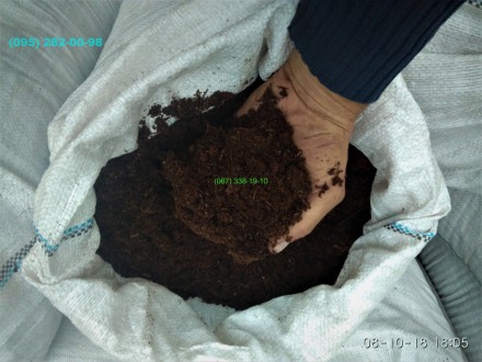 Если вы считаете, что почва в месте посадки растения бедная, и в ней недостаточн. . фото 3