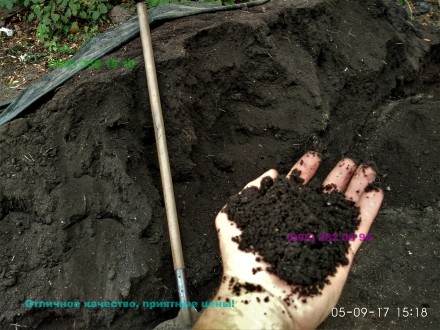 Толщина плодородного слоя грунта на котором предполагается сеять газон должна со. . фото 4