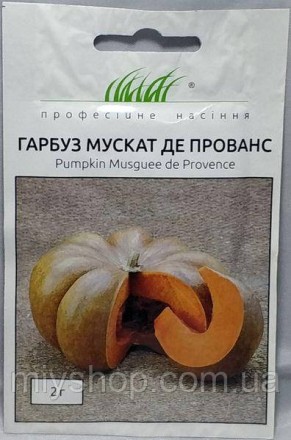 Гарбуз Мускат де Прованс 2 гр Професійне насіння Нидерланды. Лубни. фото 1 Гарбуз Мускат де Прованс 2 гр Професійне насіння Нидерланды. Лубни. фото 1