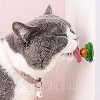 
Игрушка с кошачьей мятой / Лакомство для кошек с кошачьей мятой и витаминами / . . фото 2