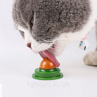 
Игрушка с кошачьей мятой / Лакомство для кошек с кошачьей мятой и витаминами / . . фото 4