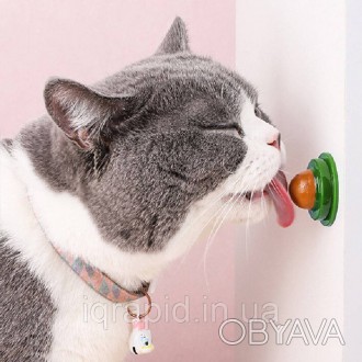 
Игрушка с кошачьей мятой / Лакомство для кошек с кошачьей мятой и витаминами / . . фото 1