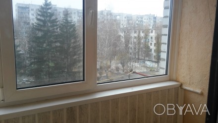 Здам свою велику, затишну 1-но кімнатну квартиру.