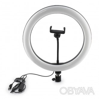 Кольцевая лампа 30 см 12-028 LED RING FILL LIGHT BlueBox (с 1 держ.)