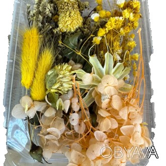 Набор сухих цветов для декора - это набор из различных сухих цветов, которые исп. . фото 1