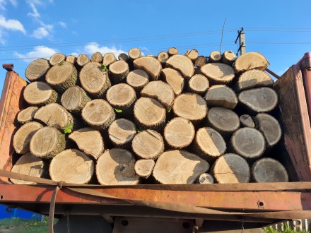 В продаже дрова:
твёрдых пород (дуб, ясень) - колотые, чушки
Длинна поленьев 3. . фото 2