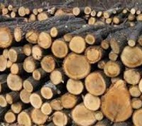Продам Недорого Дрова. Хмельницький. фото 1 Продам Недорого Дрова. Хмельницький. фото 1