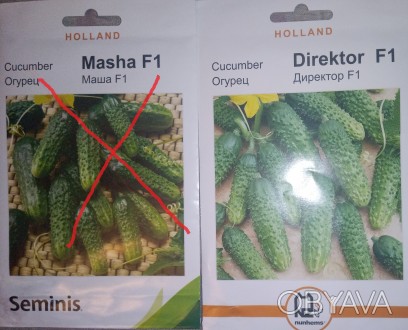 Продам семена овощей . Голландия.