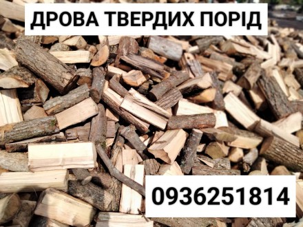 Продаємо дрова твердих порід. Черкассы. фото 1 Продаємо дрова твердих порід. Черкассы. фото 1