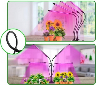 Описание Фитолампы светодиодной для растений Plant Grow Light 7819 с таймером, ч. . фото 4