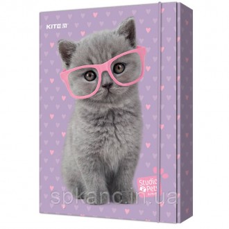 Об'ємна картонна папка для зошитів Kite Studio Pets з яскравим забарвленням закр. . фото 2