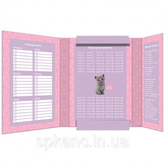 Об'ємна картонна папка для зошитів Kite Studio Pets з яскравим забарвленням закр. . фото 3