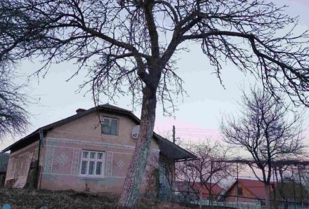 Даний будинок знаходиться в Байківцях за 3 км від м. Тернопіль. Поряд зупинка гр. . фото 4