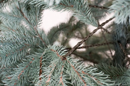Искусственная елка литая Ковалевская голубая Товар отправляется по полной или ча. . фото 4