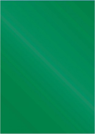 
	комплект поставки: 100 глянцевих обкладинок
	колір зелений
	щільність 250 г/м2. . фото 3