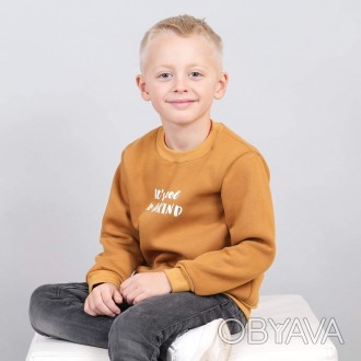 Детский теплый джемпер на флисе для мальчика 110