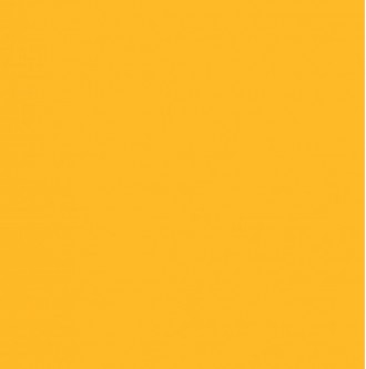 Фон бумажный Savage Widetone Deep Yellow 1.36m x 11m (71-1253)
Savage Widetone -. . фото 3