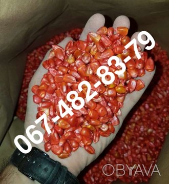 Семена кукурузы Catalina ФАО 260 канадский трансгенный гибрид

Преимущества ги. . фото 1