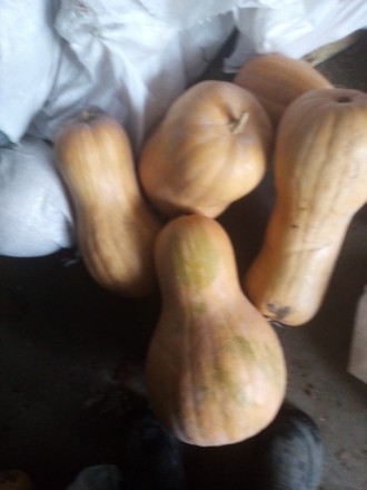 Продам кабак.. Лисичанськ. фото 1 Продам кабак.. Лисичанськ. фото 1