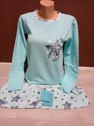 Тепла піжама жіноча з мікроначісом Туреччина 42-50 розміри реглан та штани байка. . фото 3
