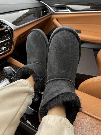 Угги женские зимние черные UGG Mini Black Zip (10011). Київ. фото 1 Угги женские зимние черные UGG Mini Black Zip (10011). Київ. фото 1