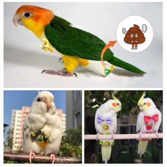 Памперс - удобный аксессуар для Вашего попугая, который убережет Вашу мебель и о. . фото 5