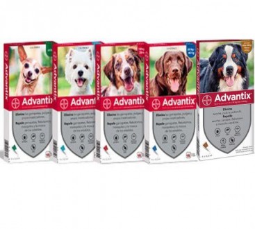 Цена за 1 пипетку
Адвантикс® – универсальное решение для защиты собак от блох, к. . фото 3