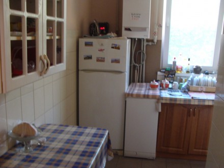 Кухня с газовой плитой, мойкой и посудой, туалет, душ, холодильник, стиральная м. Черноморка. фото 13