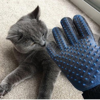 
Рукавичка для вичісування шерсті тварин True Touch Pet Glove
Рукавичка масажна . . фото 5