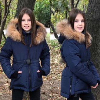Зимова куртка з плащової тканини — Канада, хутро натуральний, 300 Синтипон, підк. . фото 4
