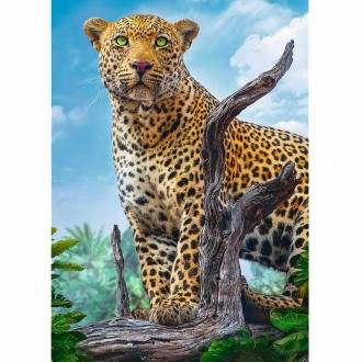 Пазли на 500 елементів із зображенням дикого леопарда, що пильно вдивляється в д. . фото 3