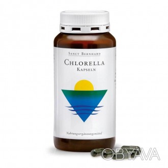 Хлорелла (зеленая микроводоросль) - источник аминокислот, витаминов (А, В1, В2, . . фото 1