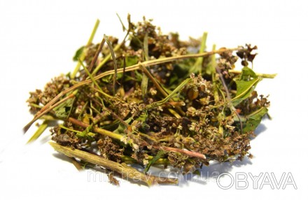Гречиха посевная трава 50 грамм (гречка)
Гречиха является очень популярным ингре. . фото 1