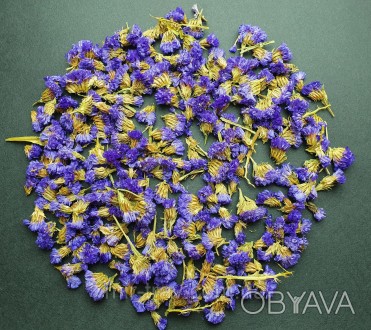 Незабудки - китайские голубые цветы, Wu Wang Wo. 
Незабудка является естественны. . фото 1