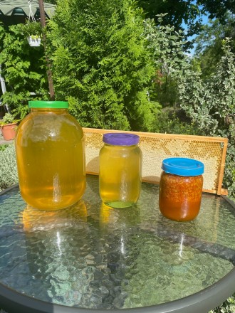 Продам мед з власної пасіки.  Справжній акацієвий мед - 250 грн/л, 750грн/ 3л !!. . фото 2