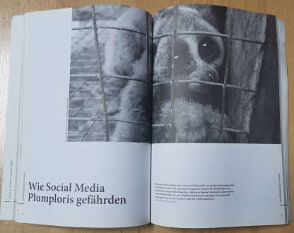 orum. Stipendisches Magazin der Friedrich-Ebert-Stiftung. Warum nicht?
Форум. С. . фото 6