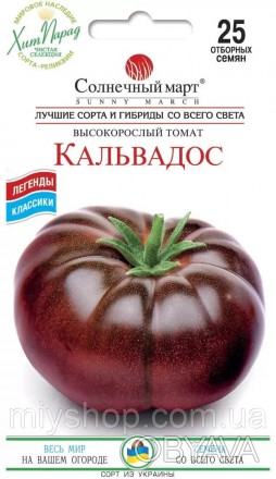 Середньостиглий (115-120 днів) індетермінантний екзотичний сорт. Рослини висотою. . фото 1