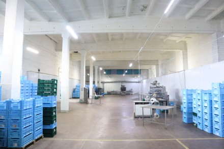 До продажу пропонується площі комплексу виробничих приміщень харчового призначен. . фото 5