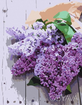 Картина по номерам. Art Craft