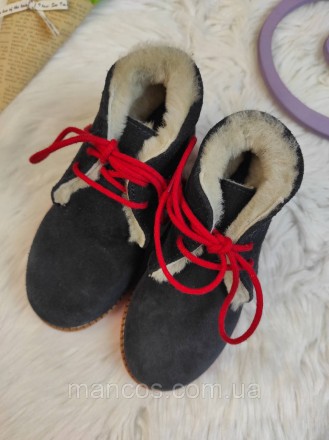Детские зимние ботинки Papanatas для девочки синие замшевые с мехом на шнуровке . . фото 4
