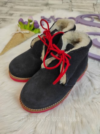 Детские зимние ботинки Papanatas для девочки синие замшевые с мехом на шнуровке . . фото 5