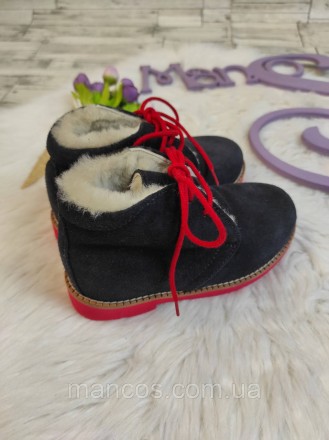 Детские зимние ботинки Papanatas для девочки синие замшевые с мехом на шнуровке . . фото 7
