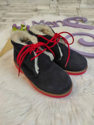 Детские зимние ботинки Papanatas для девочки синие замшевые с мехом на шнуровке . . фото 8