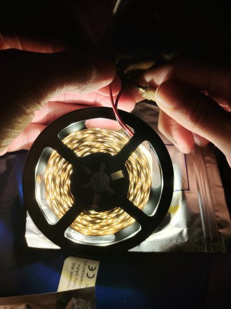 LED стрічка. Суми. фото 1 LED стрічка. Суми. фото 1
