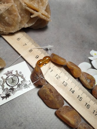 Пропонуємо Вам придбати намисто з натурального необробленого лікувального буршти. . фото 6