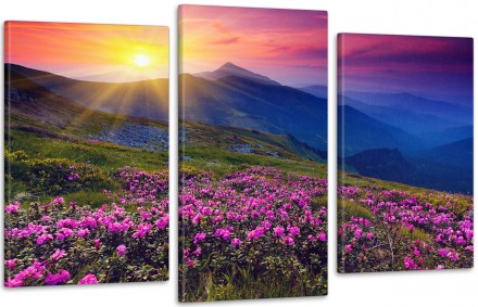 Модульна картина Природа Горі (53х100см) Art-62_3. Ужгород. фото 1 Модульна картина Природа Горі (53х100см) Art-62_3. Ужгород. фото 1