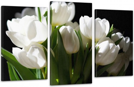 Характеристики
 
Категорії
Квіти
Кол-во частин
3
Краска
Пігментна, на водній осн. . фото 2
